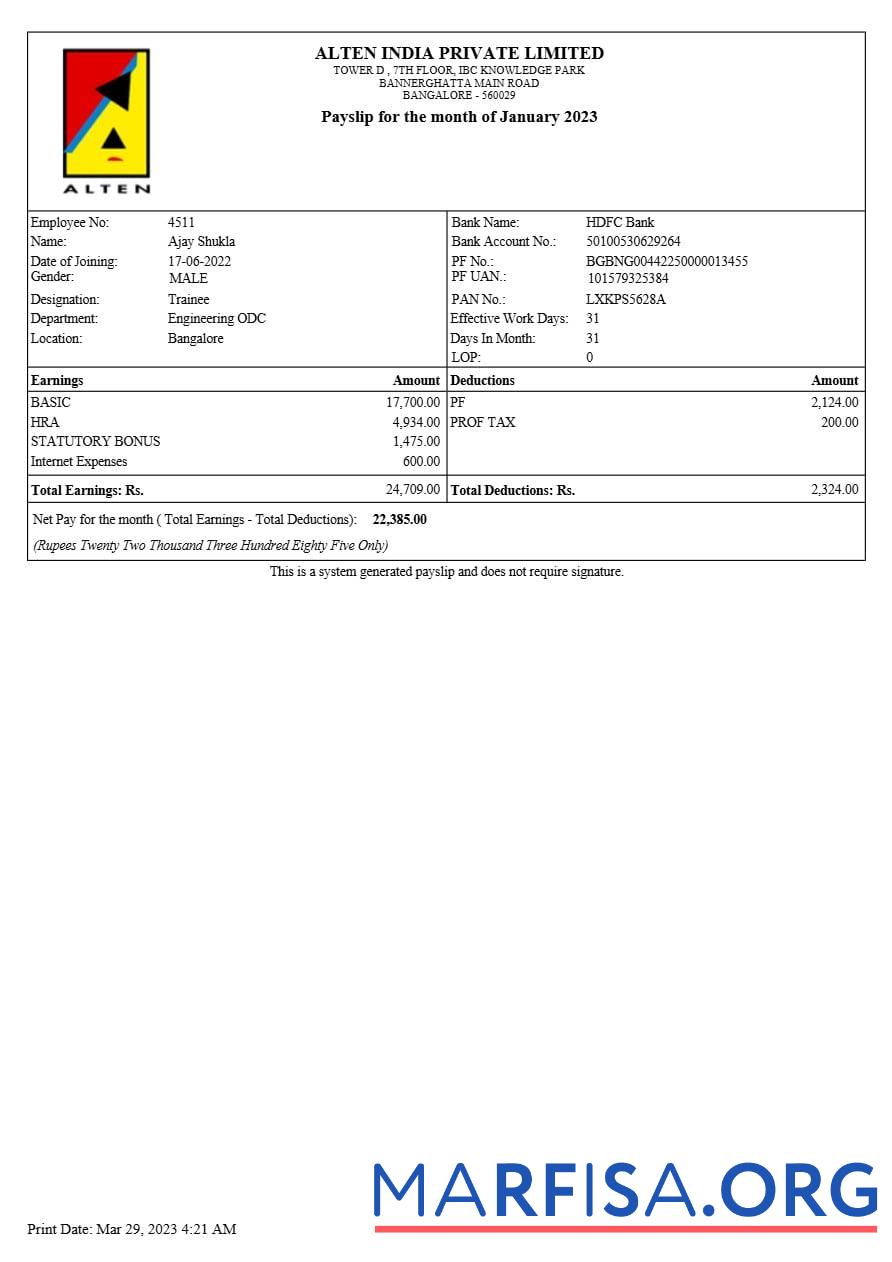 Blank Alten India payslip template